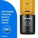 NUT02924 gallery 4