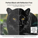 OLED55G64LW.AEK gallery 7