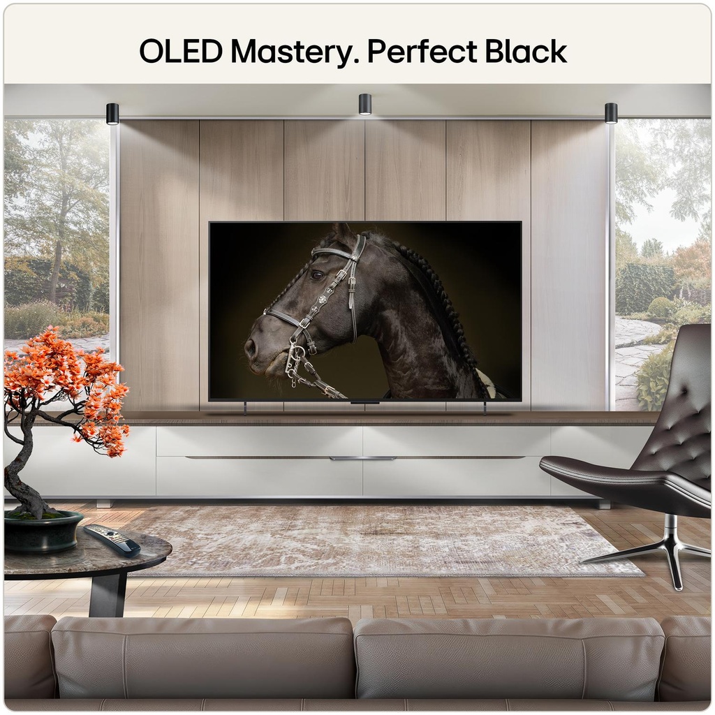 OLED42C66LB.AEK gallery 10
