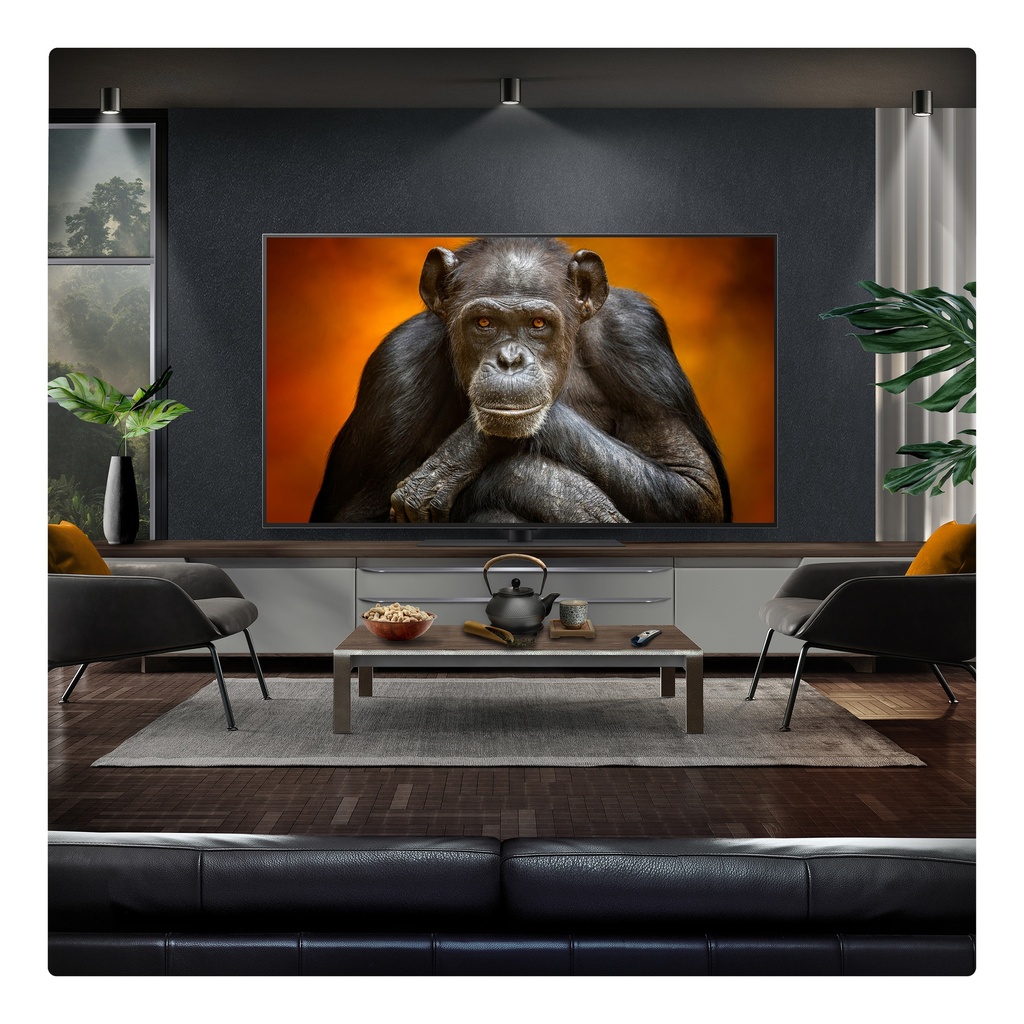 LG OLED55G56LS.AEK 55" 4K Smart TV